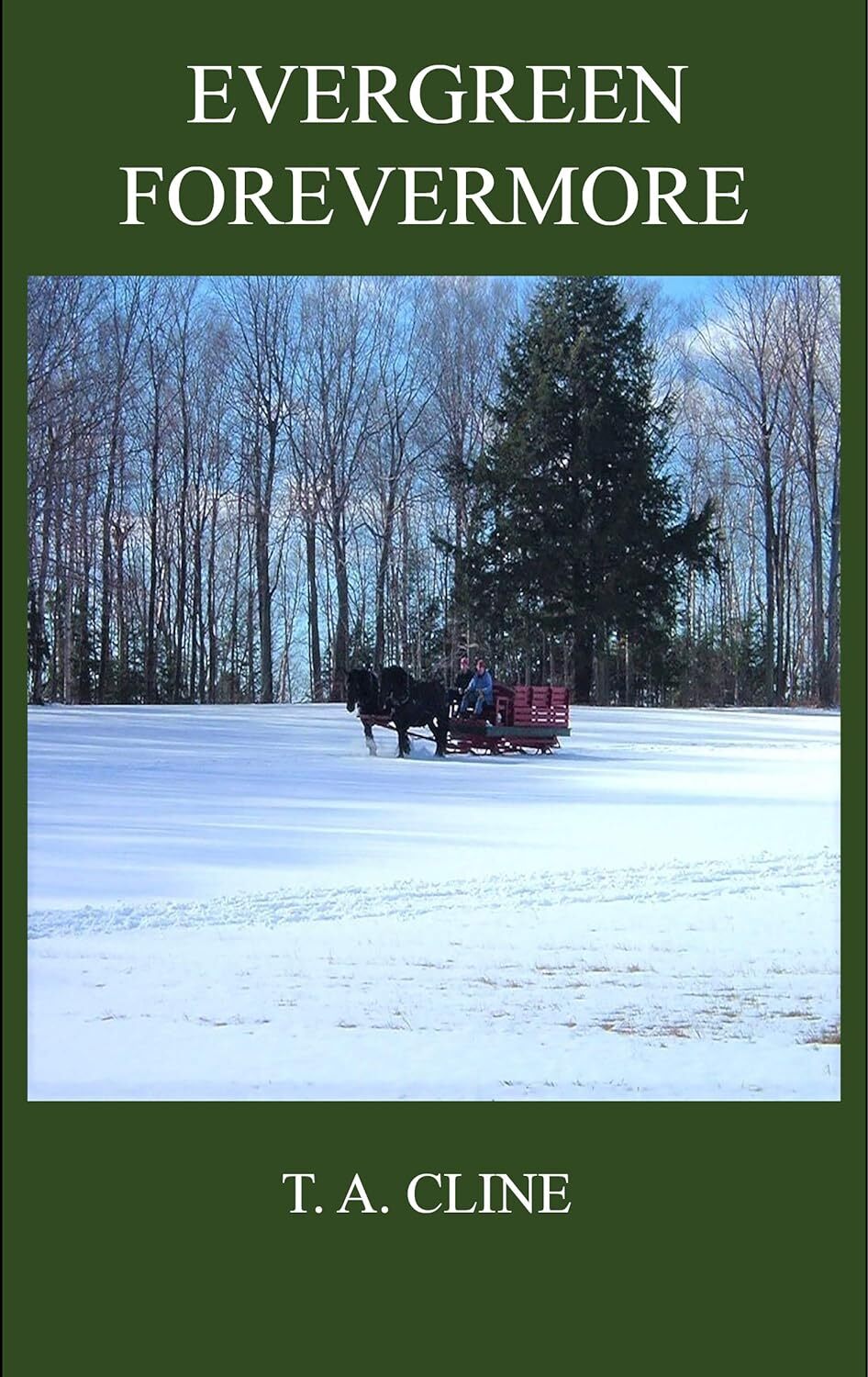 Cover of Evergreen Forevermore: A Christian romance story told during the holidays. Love finds a way with John, Ali, and Kate, and a solitary, humble man is saved from an old secret of the Vietnam war.