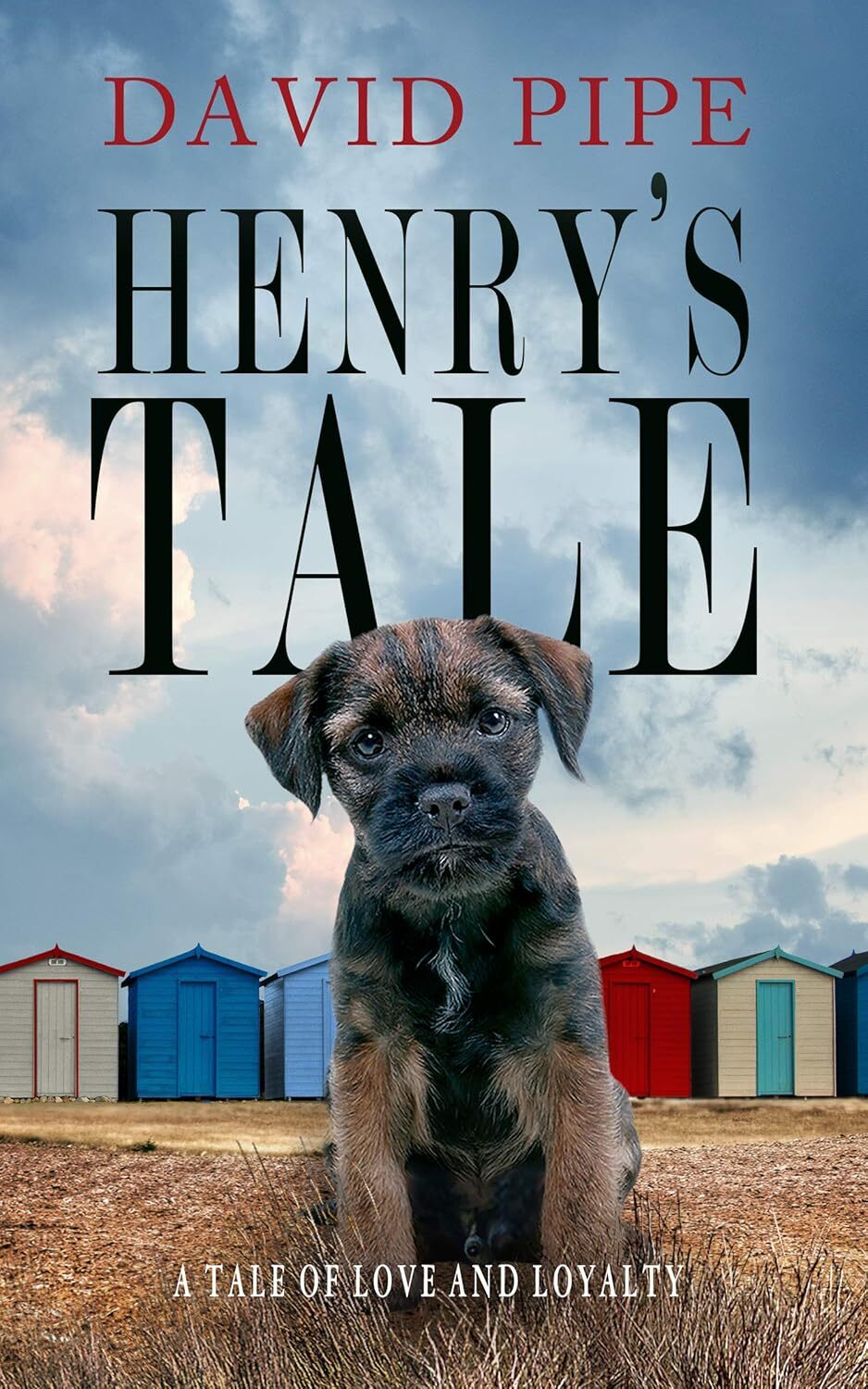 Cover of Henry's Tale