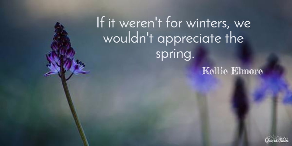 1456317217757-if-it-werent-for-winters-we-wouldnt-appreciate-the-spring.jpg