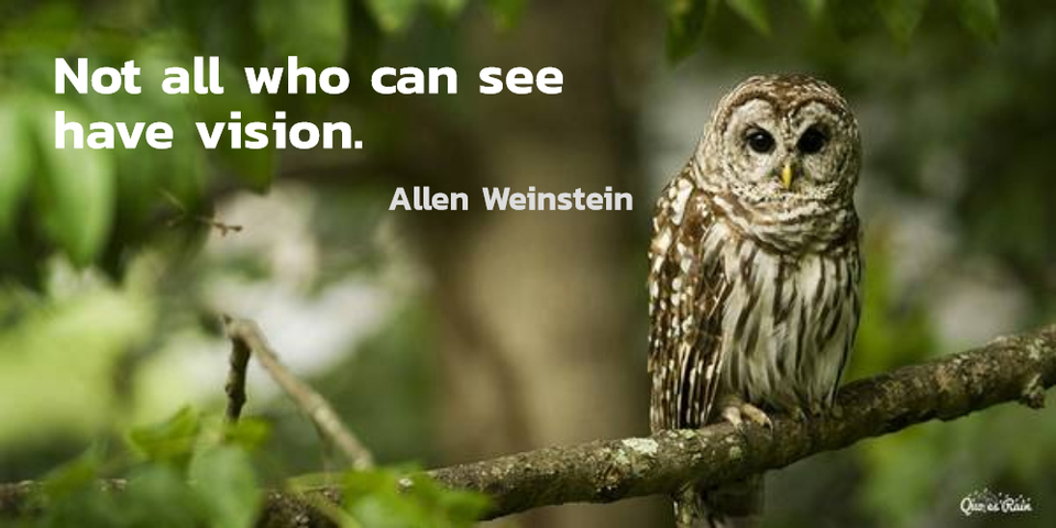 1463680035178-not-all-who-can-see-have-vision.jpg