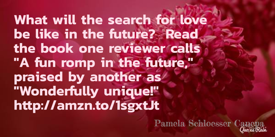 1465068161352-what-will-the-search-for-love-be-like-in-the-future-read-the-book-one-reviewer-calls.jpg