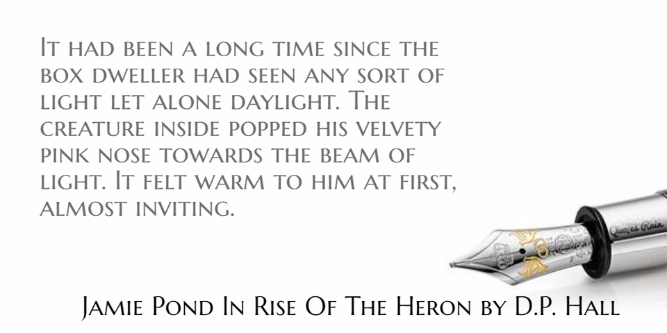 1472800393141-it-had-been-a-long-time-since-the-box-dweller-had-seen-any-sort-of-light-let-alone.jpg