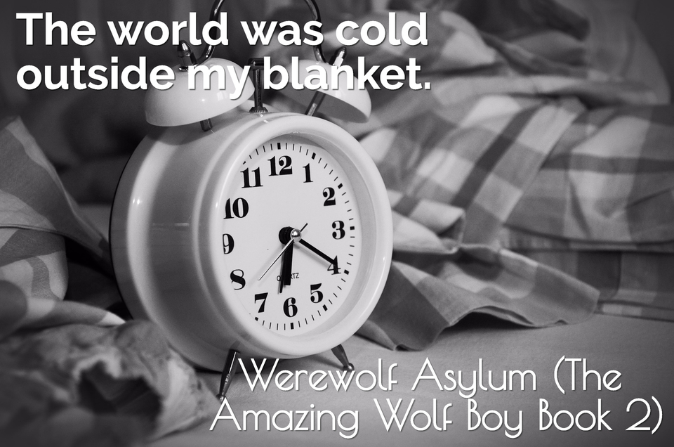 1490194566384-the-world-was-cold-outside-my-blanket.jpg