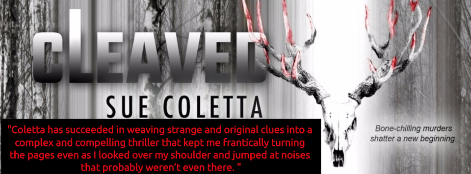 1509981408459-coletta-has-succeeded-in-weaving-strange-and-original-clues-into-a-complex-and.jpg