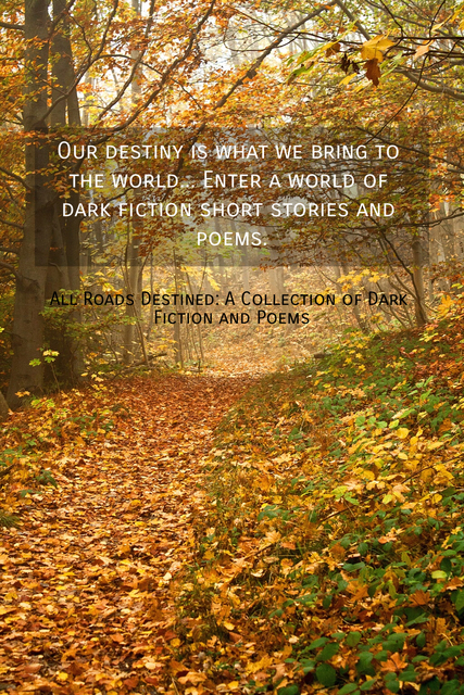 1515713678024-our-destiny-is-what-we-bring-to-the-world-enter-a-world-of-dark-fiction-short-stories.jpg