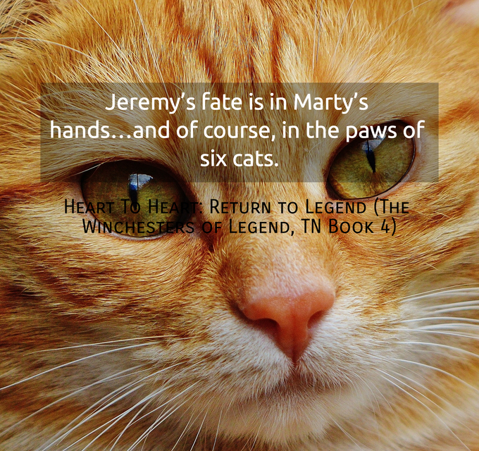 1523217257290-jeremys-fate-is-in-martys-handsand-of-course-in-the-paws-of-six-cats.jpg