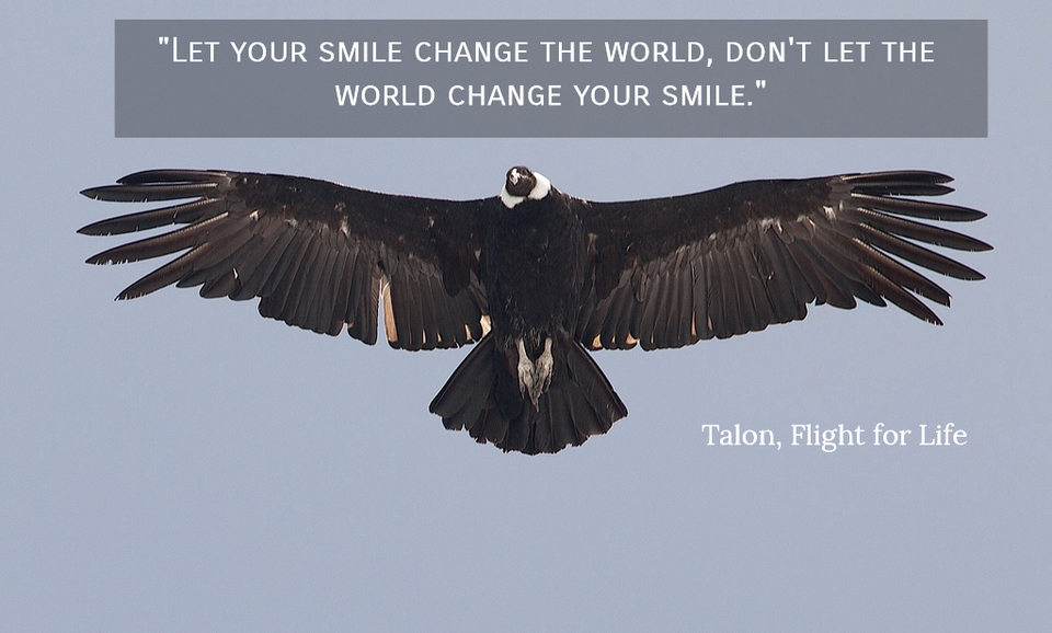 1523593483376-let-your-smile-change-the-world-dont-let-the-world-change-your-smile.jpg