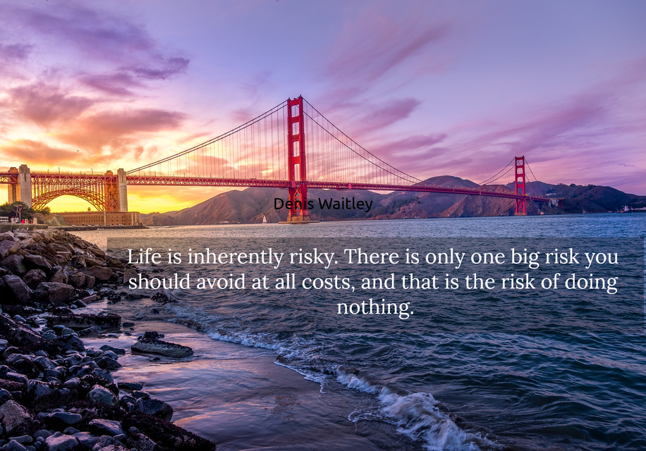 1529111077723-life-is-inherently-risky-there-is-only-one-big-risk-you-should-avoid-at-all-costs-and.jpg
