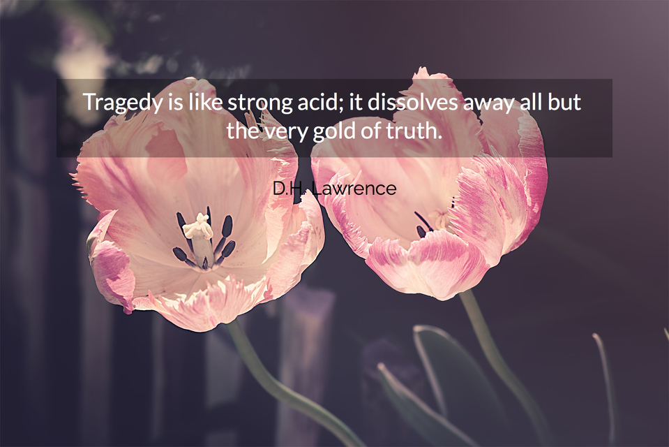 1539125663616-tragedy-is-like-strong-acid-it-dissolves-away-all-but-the-very-gold-of-truth.jpg