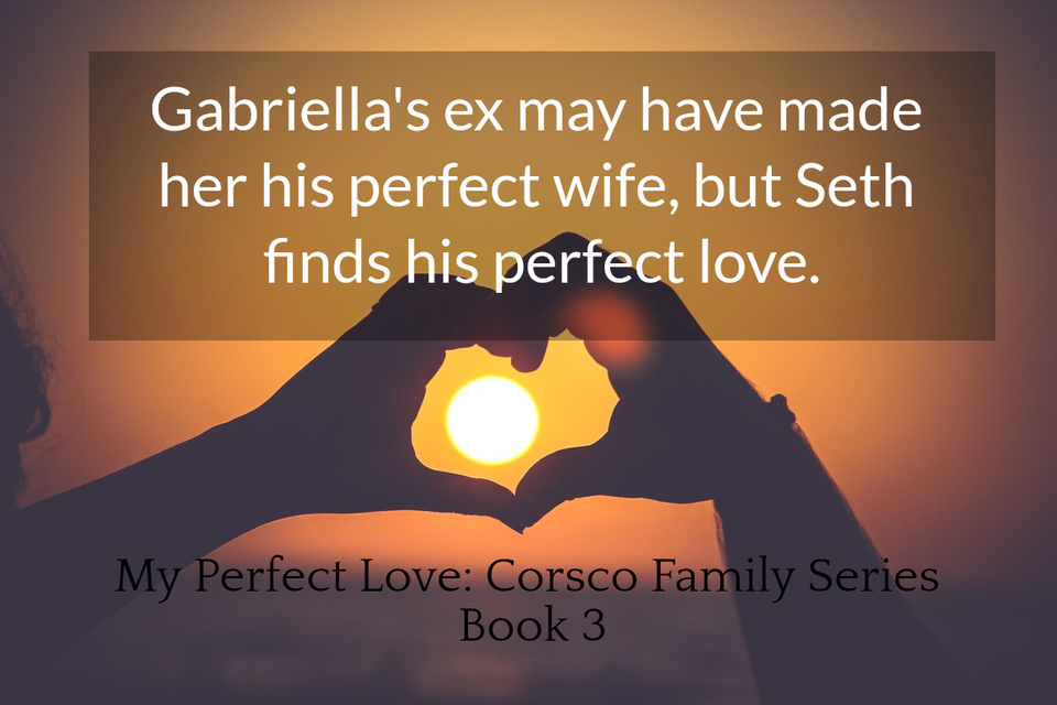 1549411904349-gabriellas-ex-made-her-his-perfect-wife-seth-finds-his-perfect-love-with-her.jpg