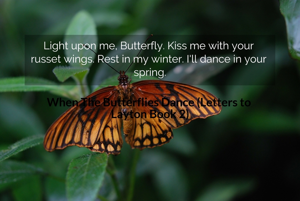 1549426629244-light-upon-me-butterfly-kiss-me-with-your-russet-wings-rest-in-my-winter-ill-dance.jpg