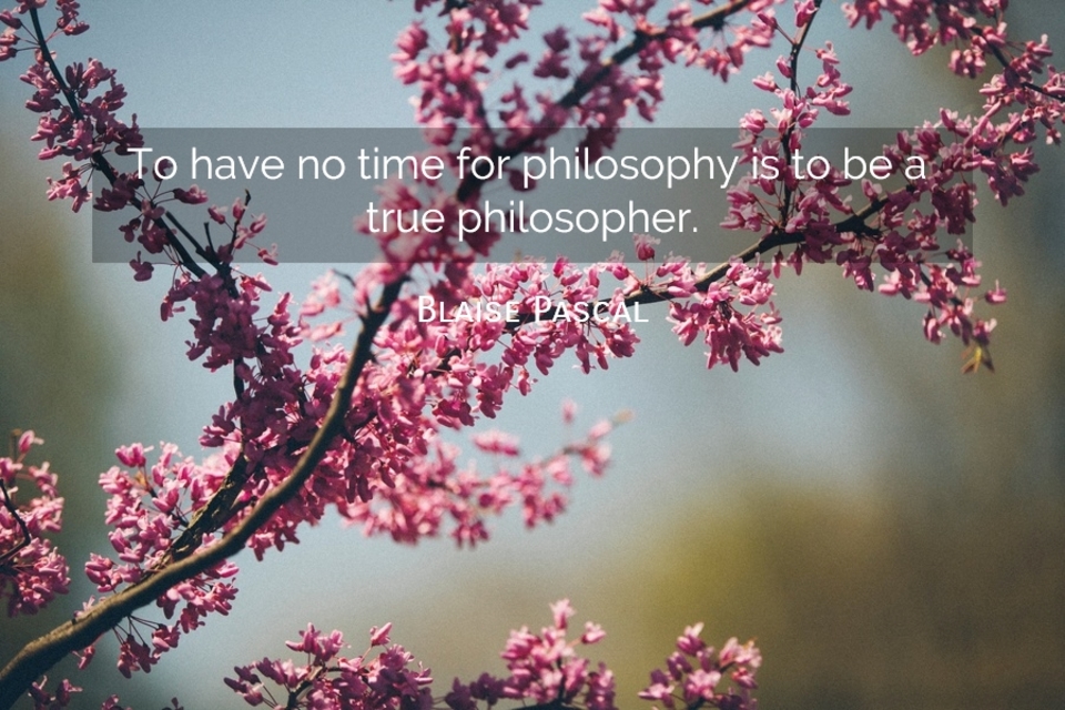 1549817449504-to-have-no-time-for-philosophy-is-to-be-a-true-philosopher.jpg