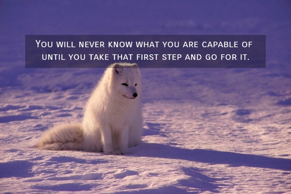 1549822534625-you-will-never-know-what-you-are-capable-of-until-you-take-that-first-step-and-go-for-it.jpg