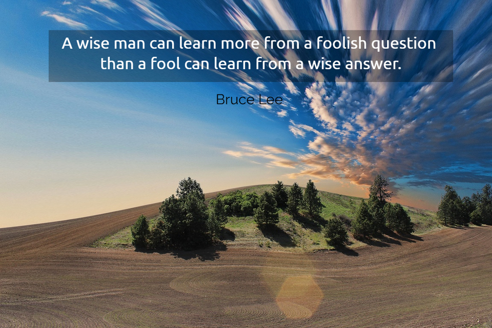 1550678579540-a-wise-man-can-learn-more-from-a-foolish-question-than-a-fool-can-learn-from-a-wise.jpg