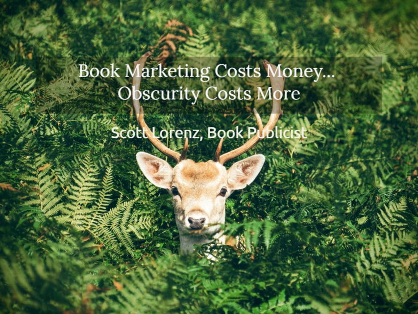 1550958470429-book-marketing-costs-money-obscurity-costs-more.jpg