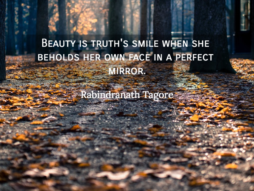 1554514690038-beauty-is-truths-smile-when-she-beholds-her-own-face-in-a-perfect-mirror.jpg