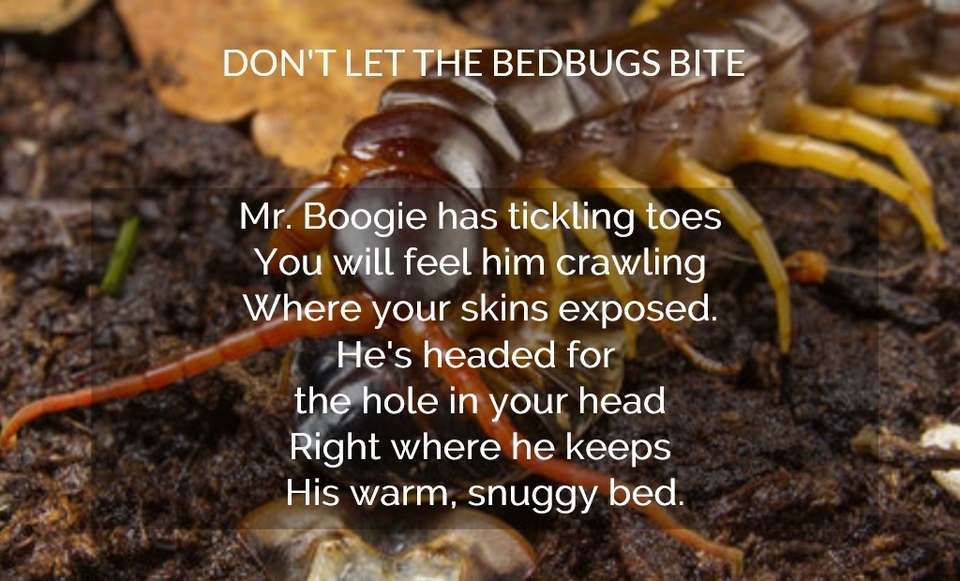 1560275070253-mr-boogie-has-tickling-toes-you-will-feel-him-crawling-where-your-skins-exposed-hes.jpg
