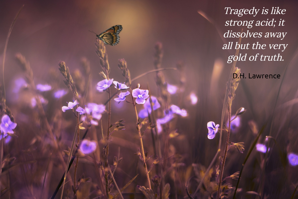 Tragedy is like strong acid; it... Picture Quotes 7804 - AllAuthor