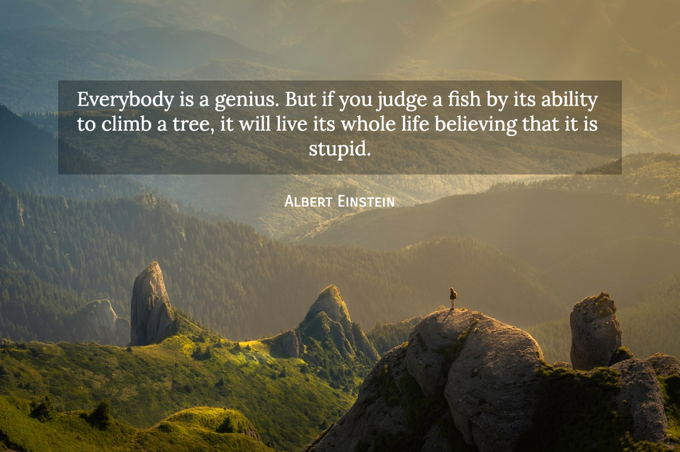 1561392652707-everybody-is-a-genius-but-if-you-judge-a-fish-by-its-ability-to-climb-a-tree-it-will.jpg