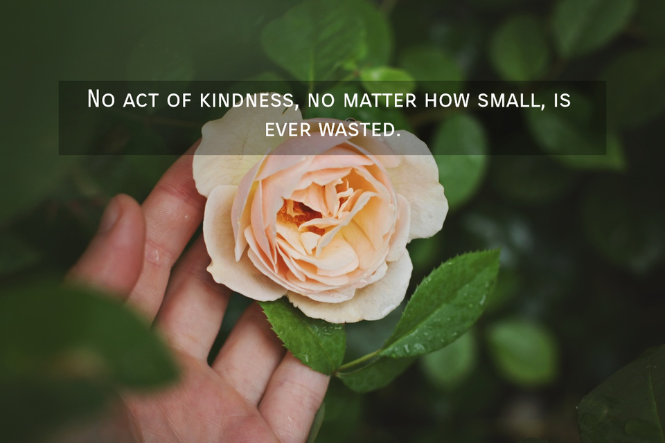 1563560152970-no-act-of-kindness-no-matter-how-small-is-ever-wasted.jpg