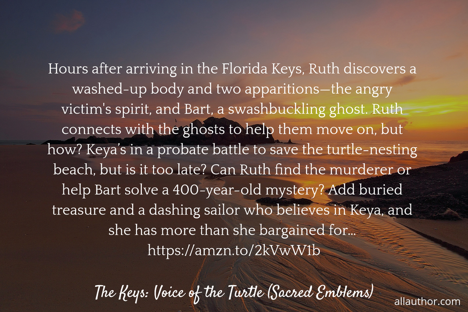 1569238919241-hours-after-arriving-in-the-florida-keys-ruth-discovers-a-washed-up-body-and-two.jpg