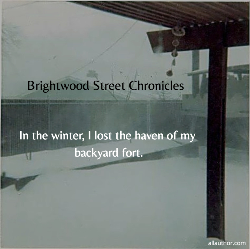 1573013230066-in-the-winter-i-lost-the-haven-of-my-backyard-fort.jpg