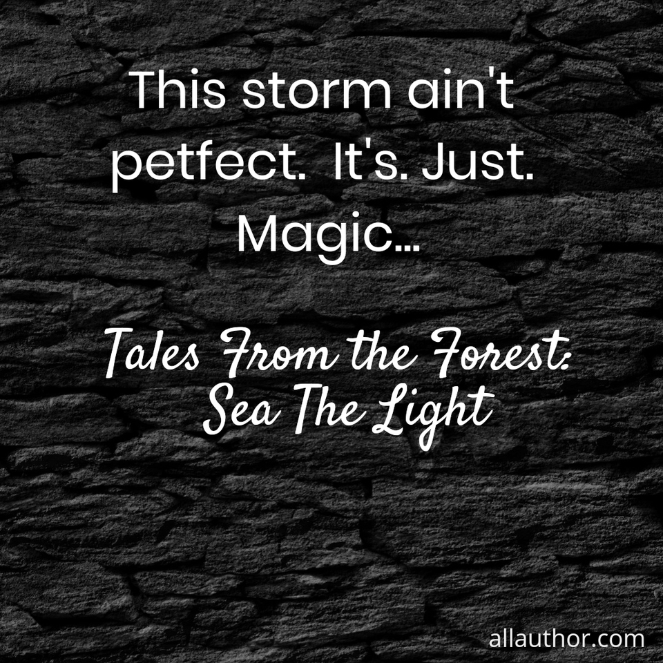 1575443696638-this-storm-aint-petfect-its-just-magic.jpg