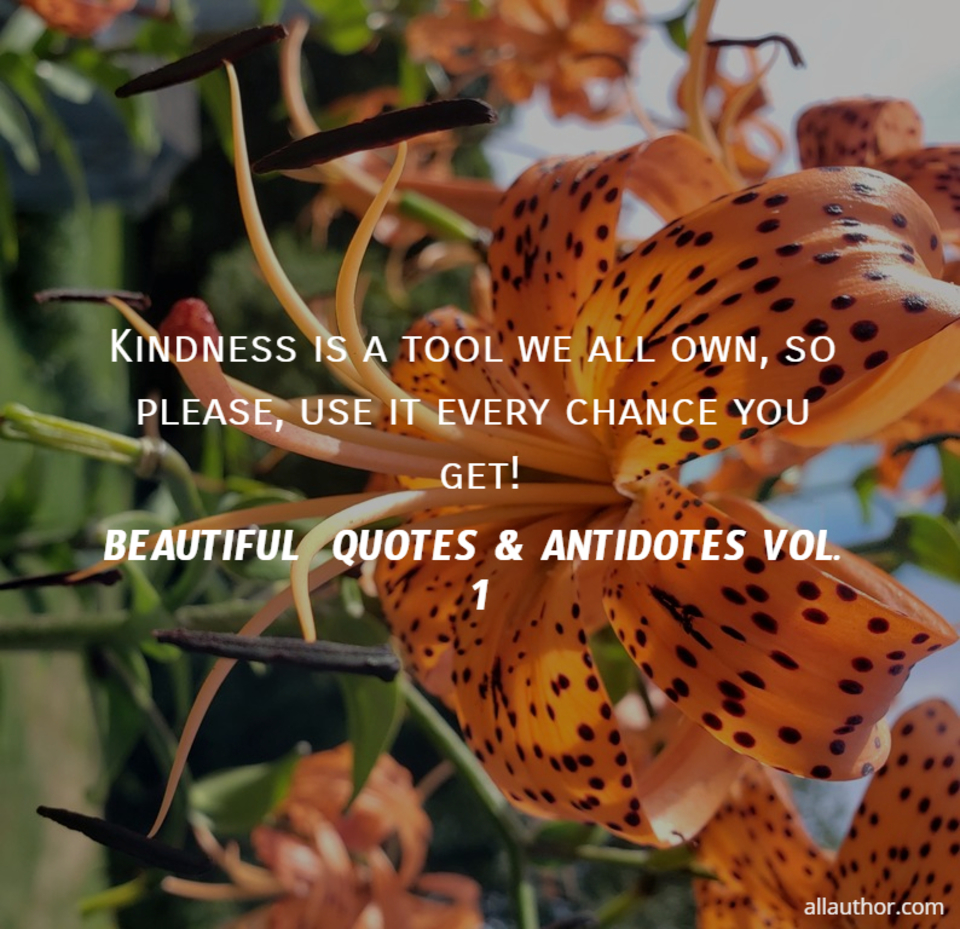 1580661405047-kindness-is-a-tool-we-all-own-so-please-use-it-every-chance-you-get.jpg