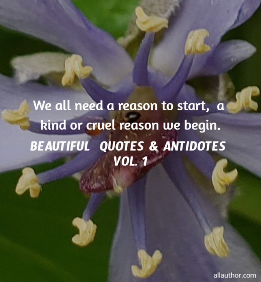 1582193551558-we-all-need-a-reason-to-start-a-kind-or-cruel-reason-we-begin.jpg