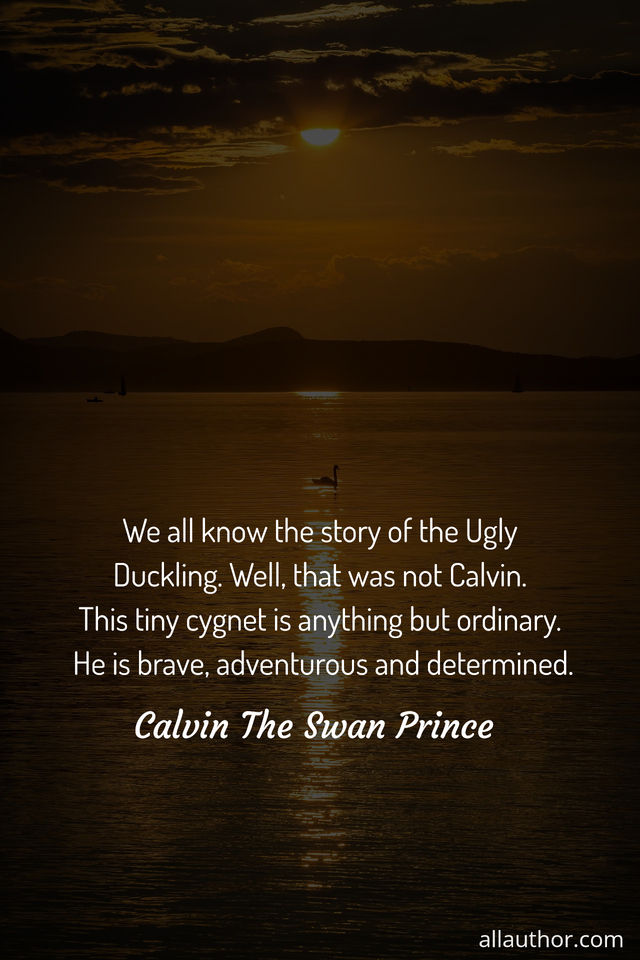 1651341630223-we-all-know-the-story-of-the-ugly-duckling-well-that-was-not-calvin-this-tiny-cygnet.jpg