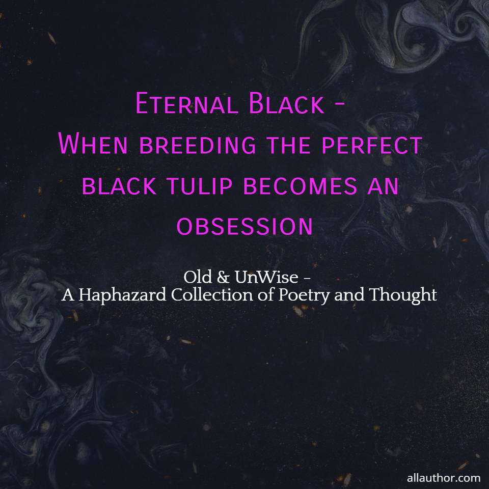 1727382959006-eternal-black---when-breading-the-perfect-black-tulip-is-the-obsession-of-a-tulip-grower.jpg