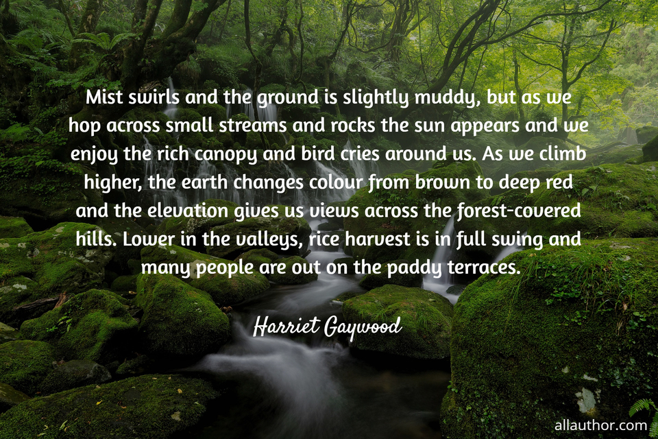 1737860855683--mist-swirls-and-the-ground-is-slightly-muddy-but-as-we-hop-across-small-streams-and.jpg