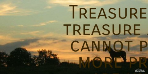 1457628860277-treasure-life-and-life-will-treasure-and-remember-life-cannot-put-you-under-any-more.jpg