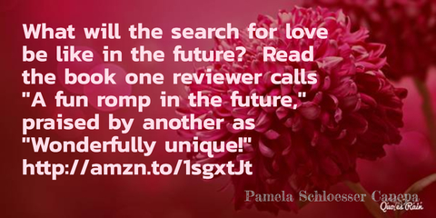 what will the search for love be like in the future read the book one reviewer calls...