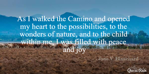 as i walked the camino and opened my heart to the possibilities to the wonders of...
