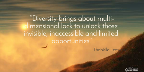 diversity brings about multidimensional lock to unlock those invisible inaccessible...