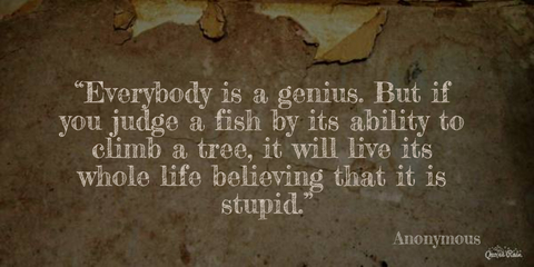 everybody is a genius but if you judge a fish by its ability to climb a tree it will...