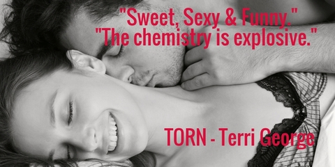 sweet sexy funny the chemistry is explosive torn terri george...