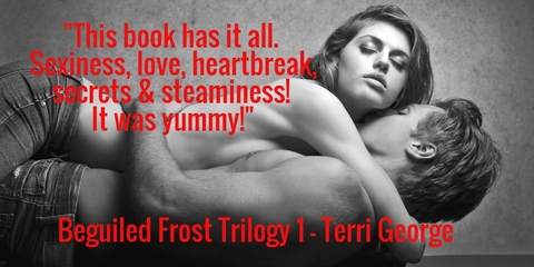 this book has it all sexiness love heartbreak secrets steaminess it was...