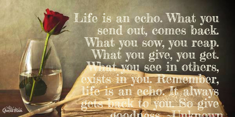 1474154468211-life-is-an-echo-what-you-send-out-comes-back-what-you-sow-you-reap-what-you-give.jpg