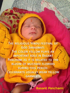 the religious hindu festival of saraswati puja the color yellow plays an important role...