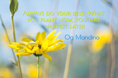 always do your best what you plant now you will harvest later...