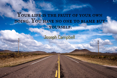 your life is the fruit of your own doing you have no one to blame but yourself...