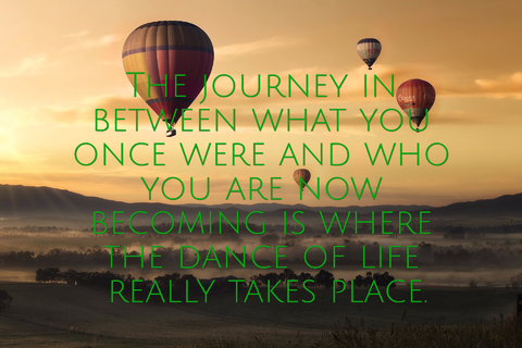 the journey in between what you once were and who you are now becoming is where the dance...