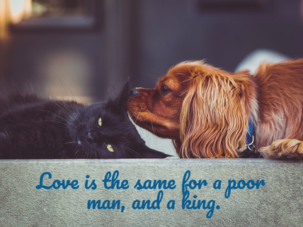 love is the same for a poor man and a king...