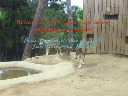 1492125574243-welcome-to-the-wolves-den-where-anything-can-happen.jpg