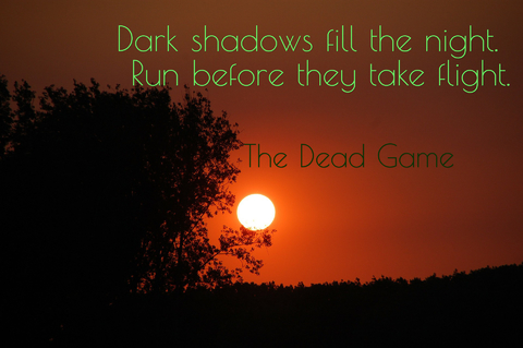 dark shadows fill the night run before they take flight...