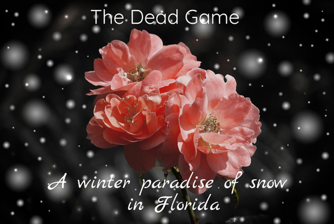 a winter paradise of snow in florida...