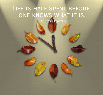 life is half spent before one knows what it is...