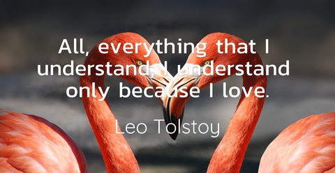 1495296204788-all-everything-that-i-understand-i-understand-only-because-i-love.jpg